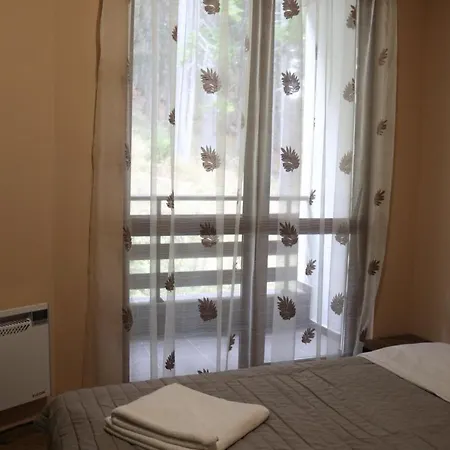 Winter аpartments Gerovi 아파트